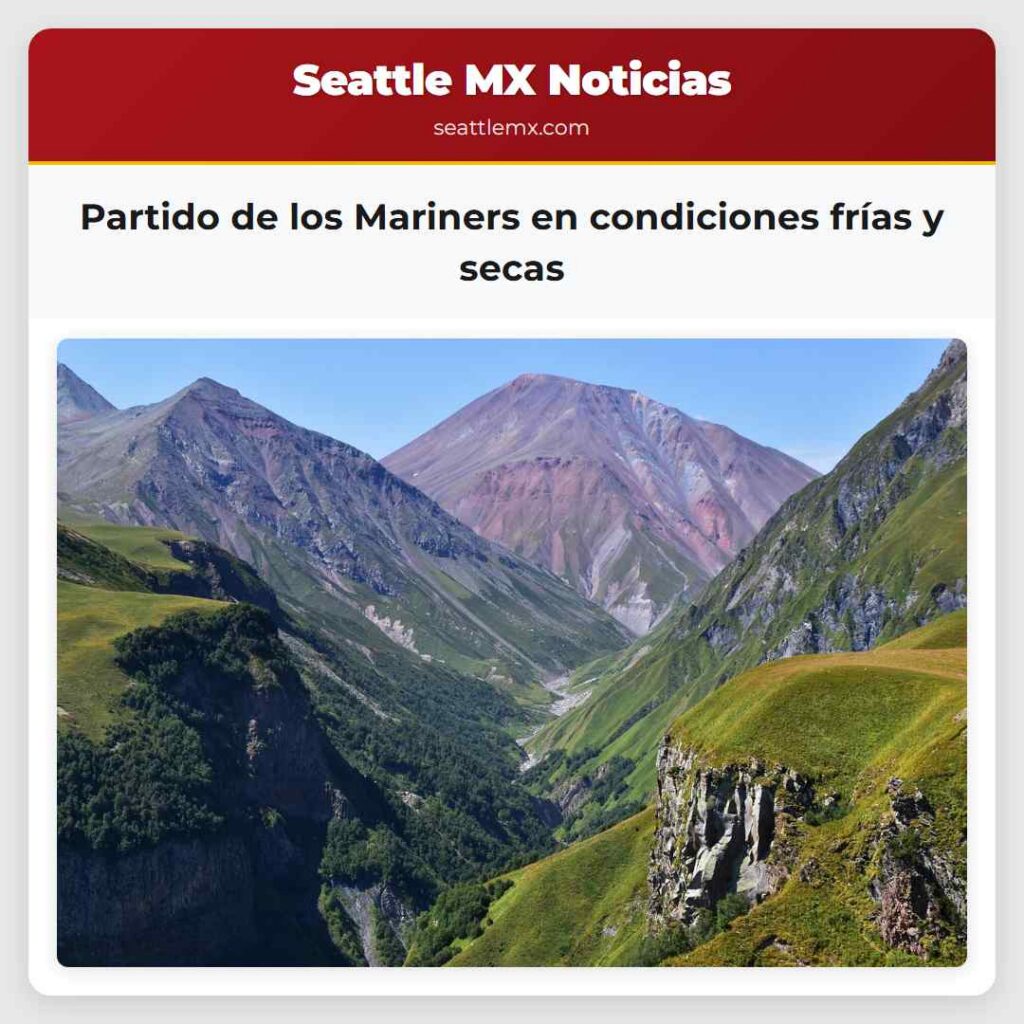 Partido de los Mariners en condiciones frías y