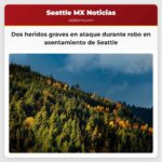 Dos heridos graves en un ataque durante un robo en un asentamiento de West Seattle