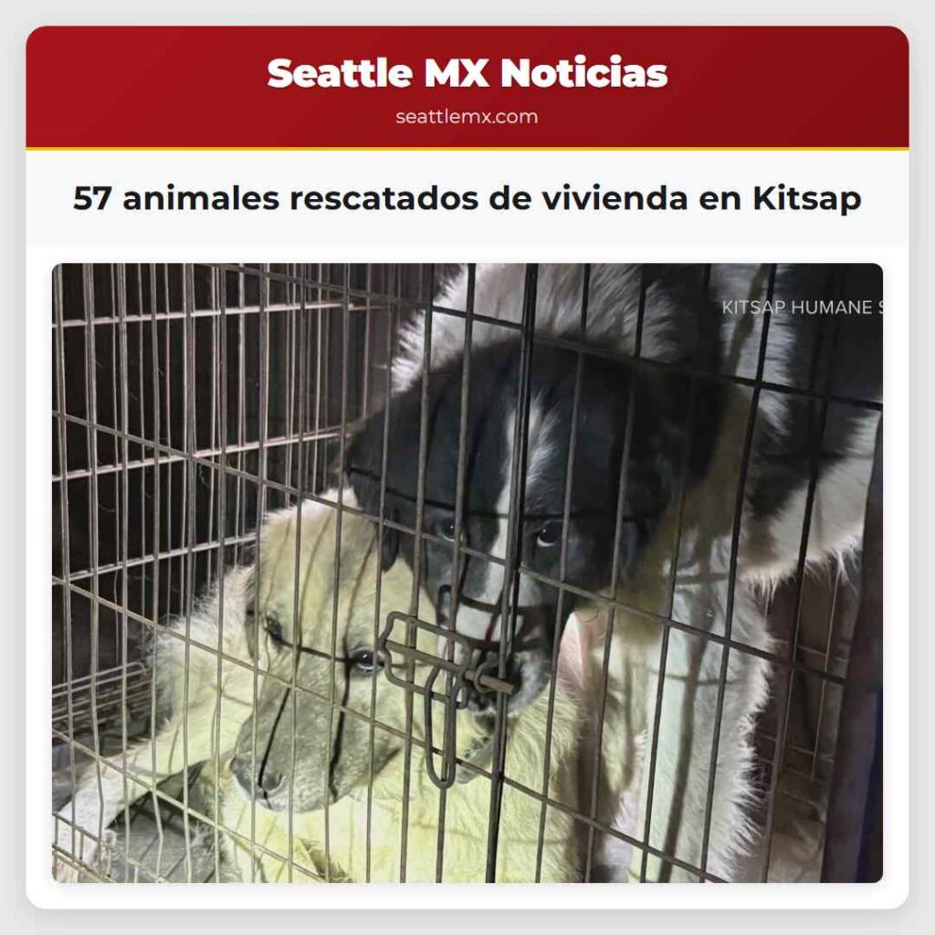 57 animales rescatados de vivienda en Kitsap
