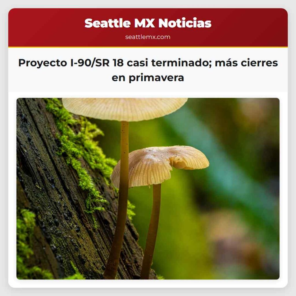 Proyecto I-90/SR 18 casi terminado; más cierres