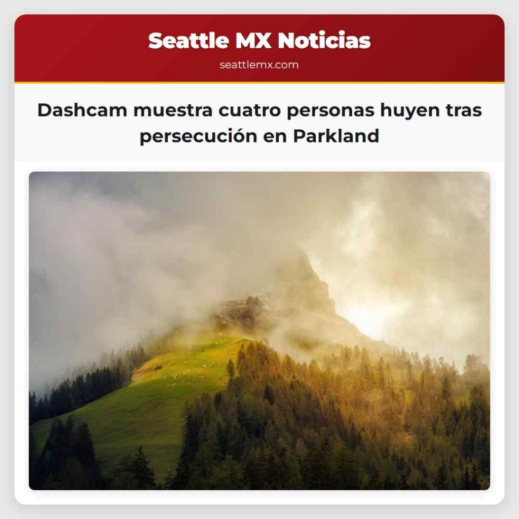 Dashcam muestra cuatro personas huyen tras