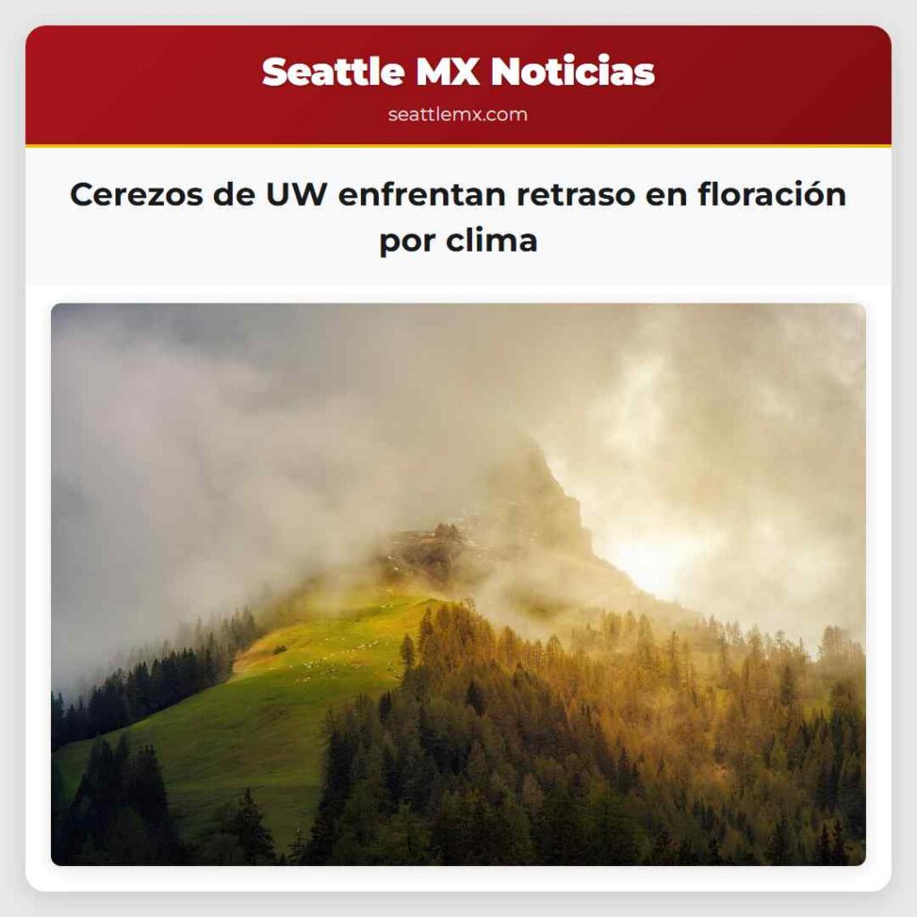 Cerezos de UW enfrentan retraso en floración por