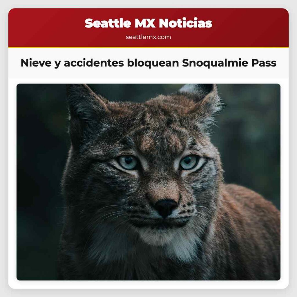 Nieve y accidentes bloquean Snoqualmie Pass