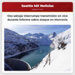Un oso salvaje interrumpe una transmisión en vivo durante un informe sobre un ataque en Monrovia