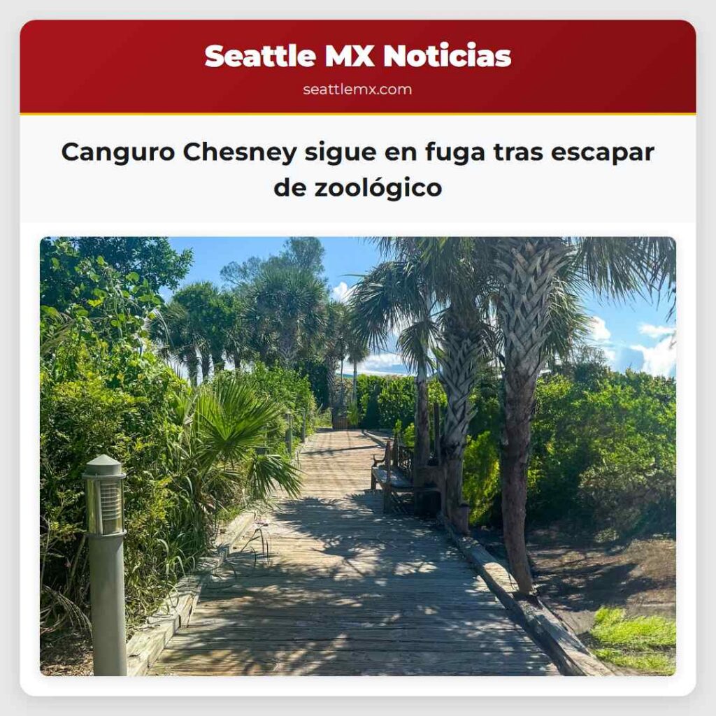 Canguro Chesney sigue en fuga tras escapar de
