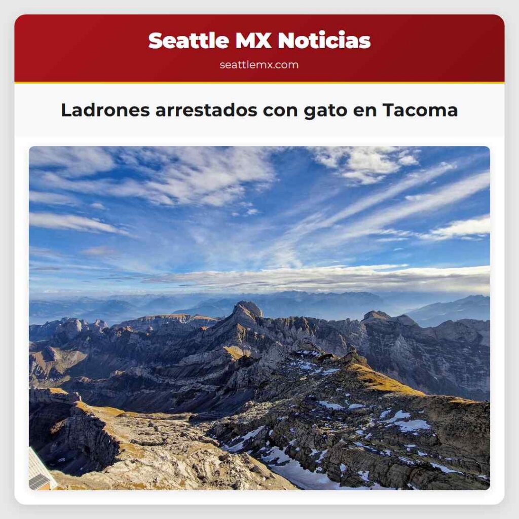 Ladrones arrestados con gato en Tacoma