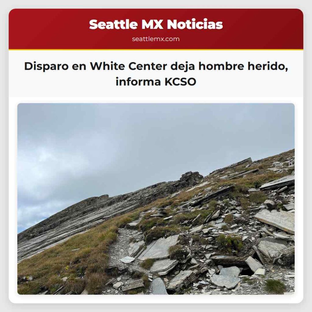 Disparo en White Center deja hombre herido,