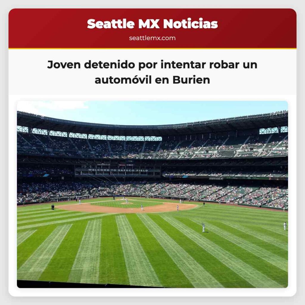 Joven detenido por intentar robar un automóvil en