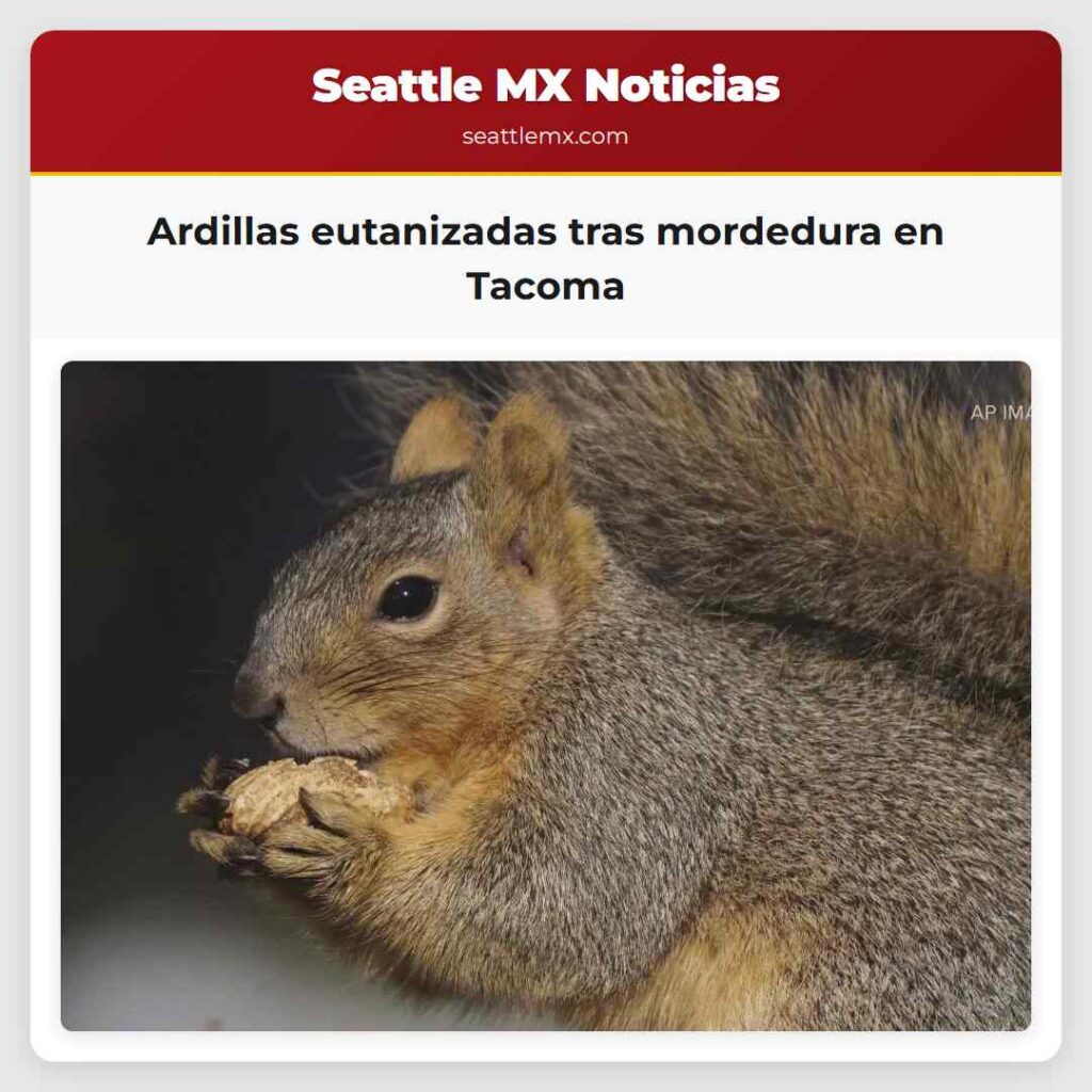 Ardillas eutanizadas tras mordedura en Tacoma
