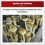 El condado de King respalda la investigación y prioriza la seguridad en el uso de psicodélicos