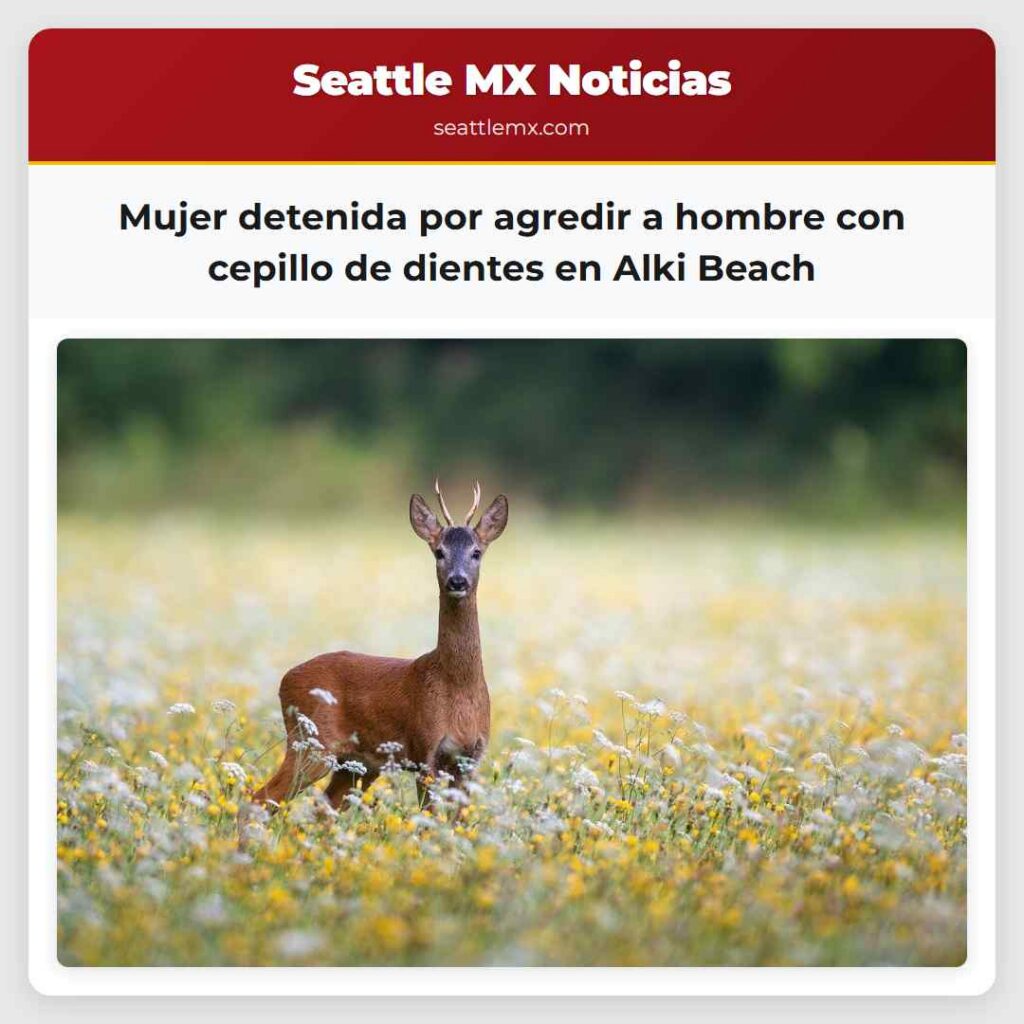 Mujer detenida por agredir a hombre con cepillo