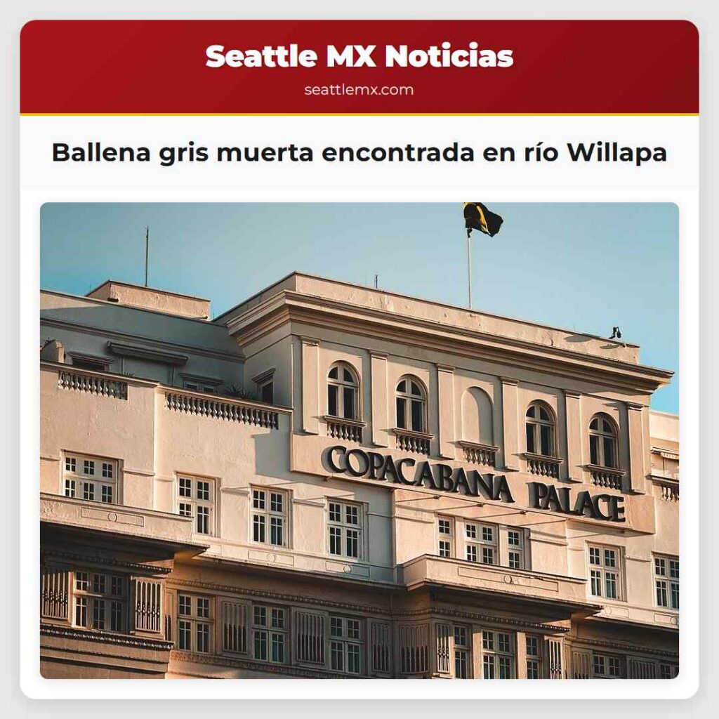 Ballena gris muerta encontrada en río Willapa