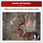 Fallece usuario de banco de energía Casely