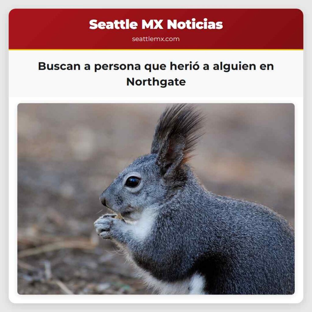 Buscan a persona que herió a alguien en Northgate