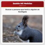 Buscan a persona que herió a alguien en Northgate