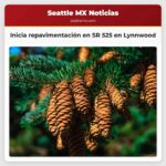 Inicia repavimentación en SR 525 en Lynnwood