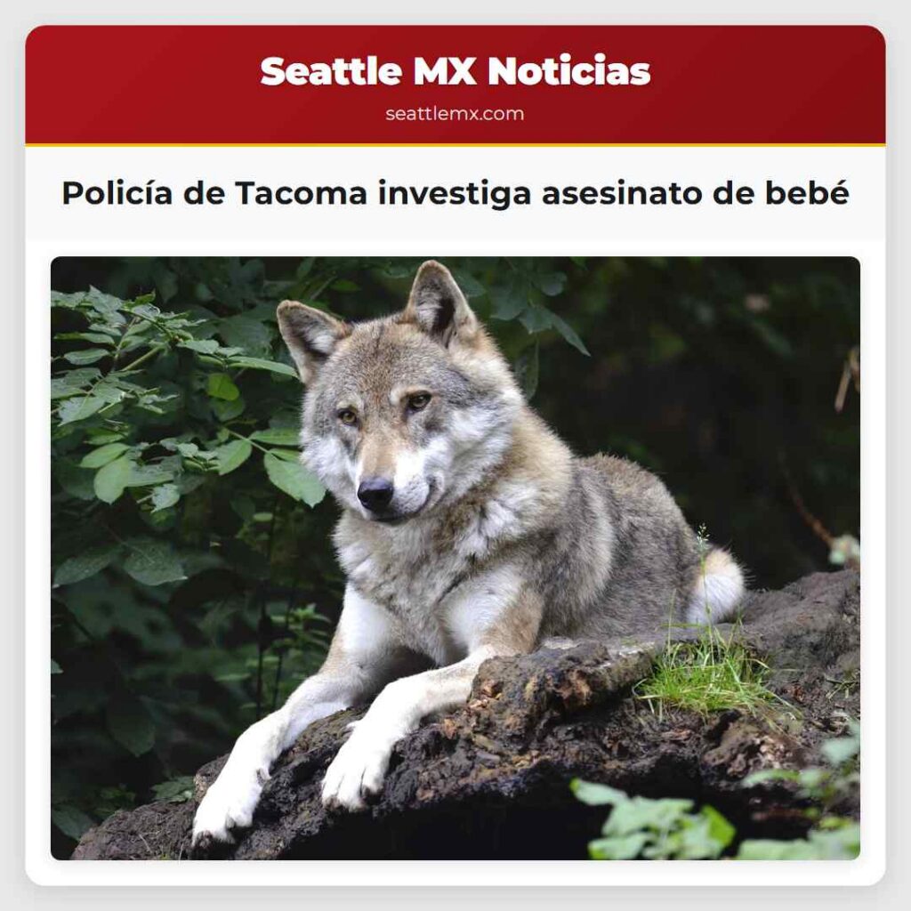 Policía de Tacoma investiga asesinato de bebé