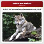 Policía de Tacoma investiga asesinato de bebé