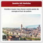 Hombre muere tras chocar contra poste de energía al huir de policía