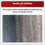 No se esperan cargos contra la persona responsable de los cadáveres de zorros en la costa de Skagit County
