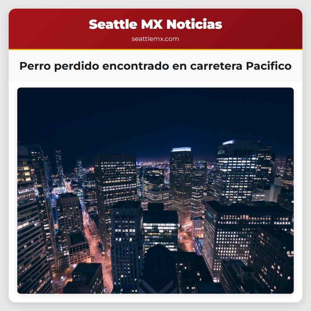Perro perdido encontrado en carretera Pacifico