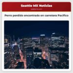 Perro perdido encontrado en carretera Pacifico