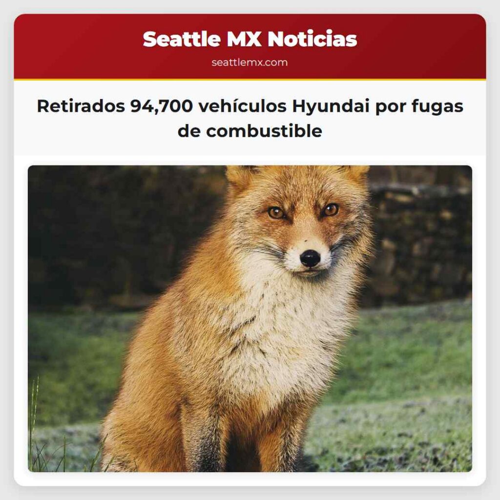 Retirados 94,700 vehículos Hyundai por fugas de