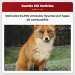 Retirados 94700 vehículos Hyundai por fugas de combustible