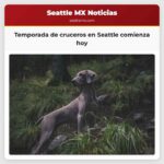 Temporada de cruceros en Seattle comienza hoy