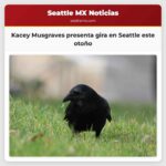 Kacey Musgraves presenta gira en Seattle este otoño