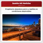 Propietario abandona perro y reptiles en condiciones deplorables