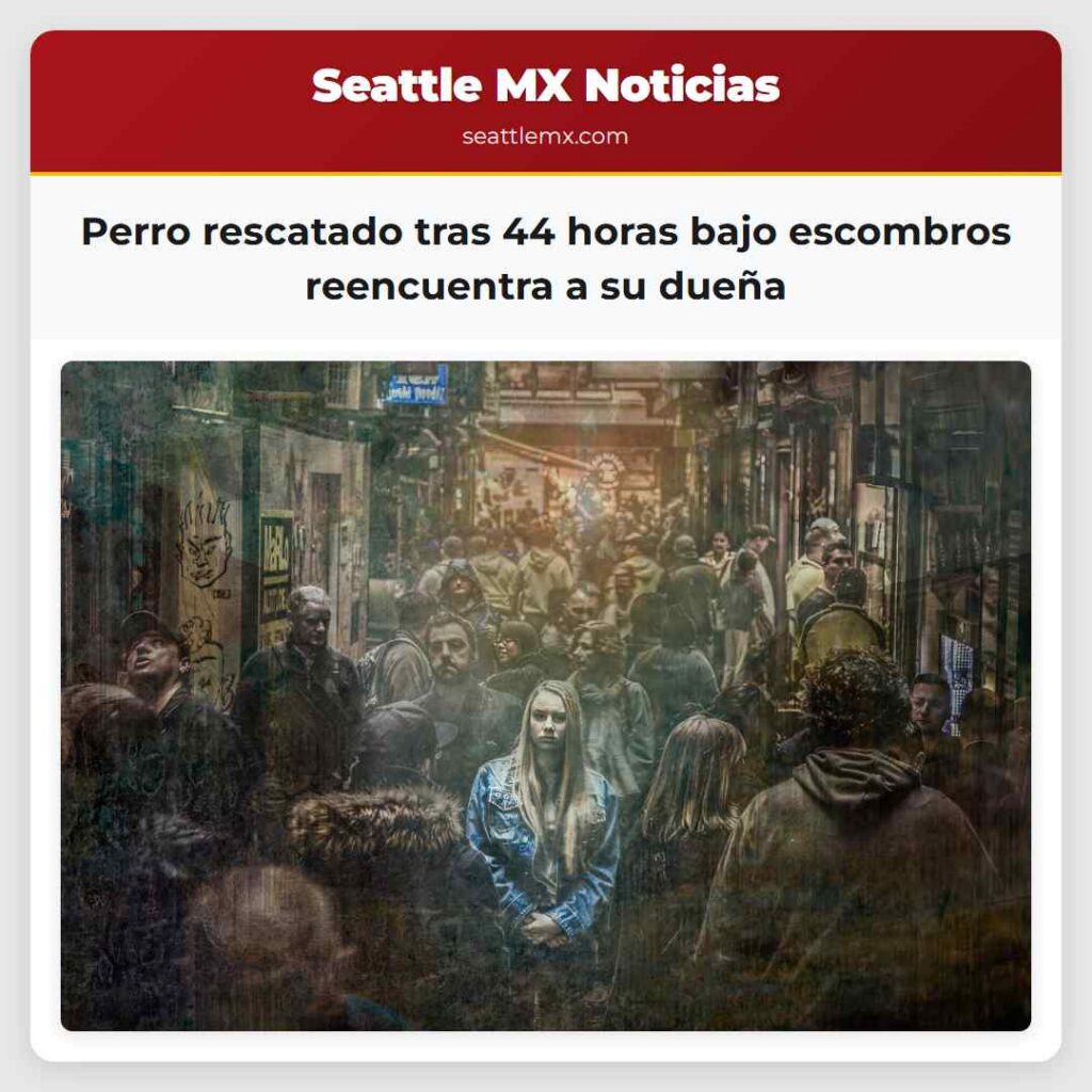 Perro rescatado tras 44 horas bajo escombros