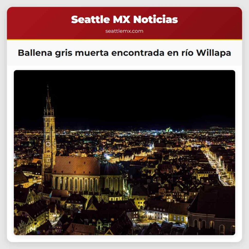 Ballena gris muerta encontrada en río Willapa