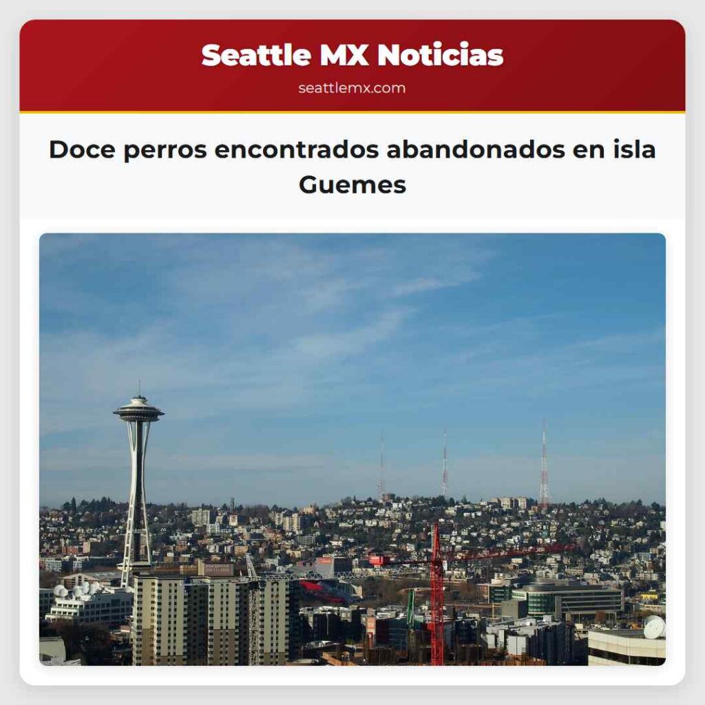 Doce perros encontrados abandonados en isla Guemes