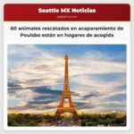 60 animales rescatados en caso de acaparamiento en Poulsbo están en hogares de acogida proceso de adopción iniciará próximamente