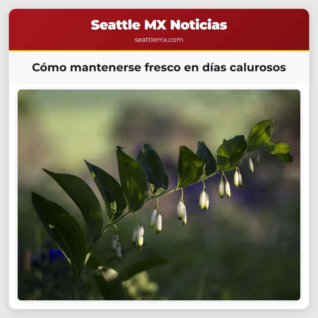 Cómo mantenerse fresco en días calurosos