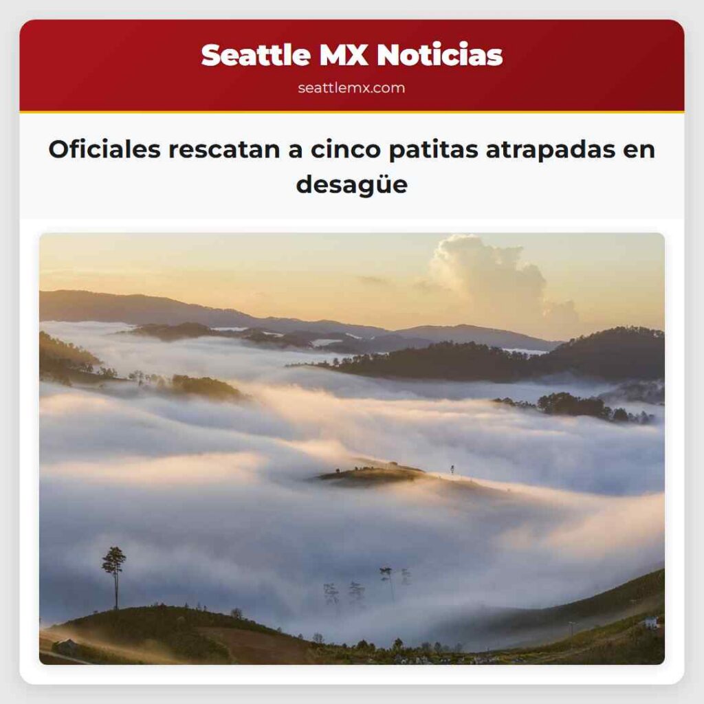 Oficiales rescatan a cinco patitas atrapadas en