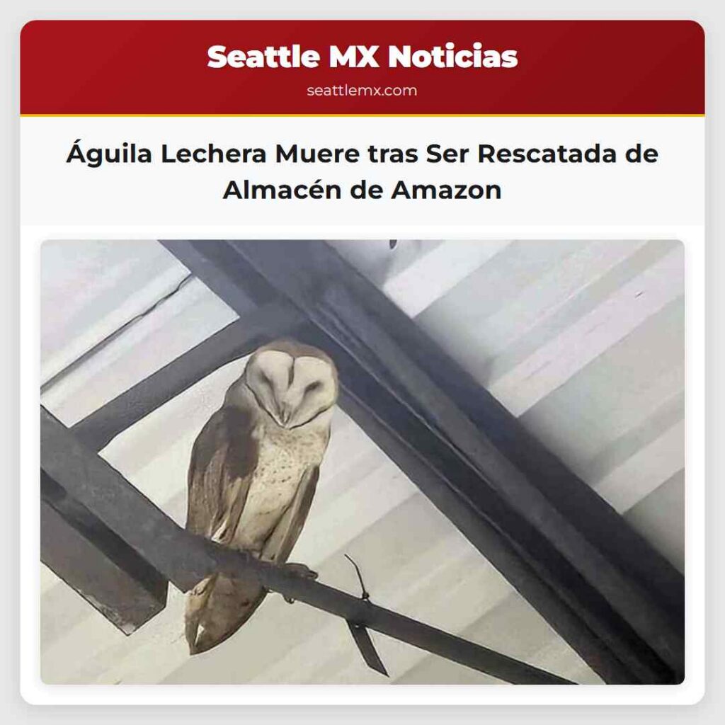 Águila Lechera Muere tras Ser Rescatada de