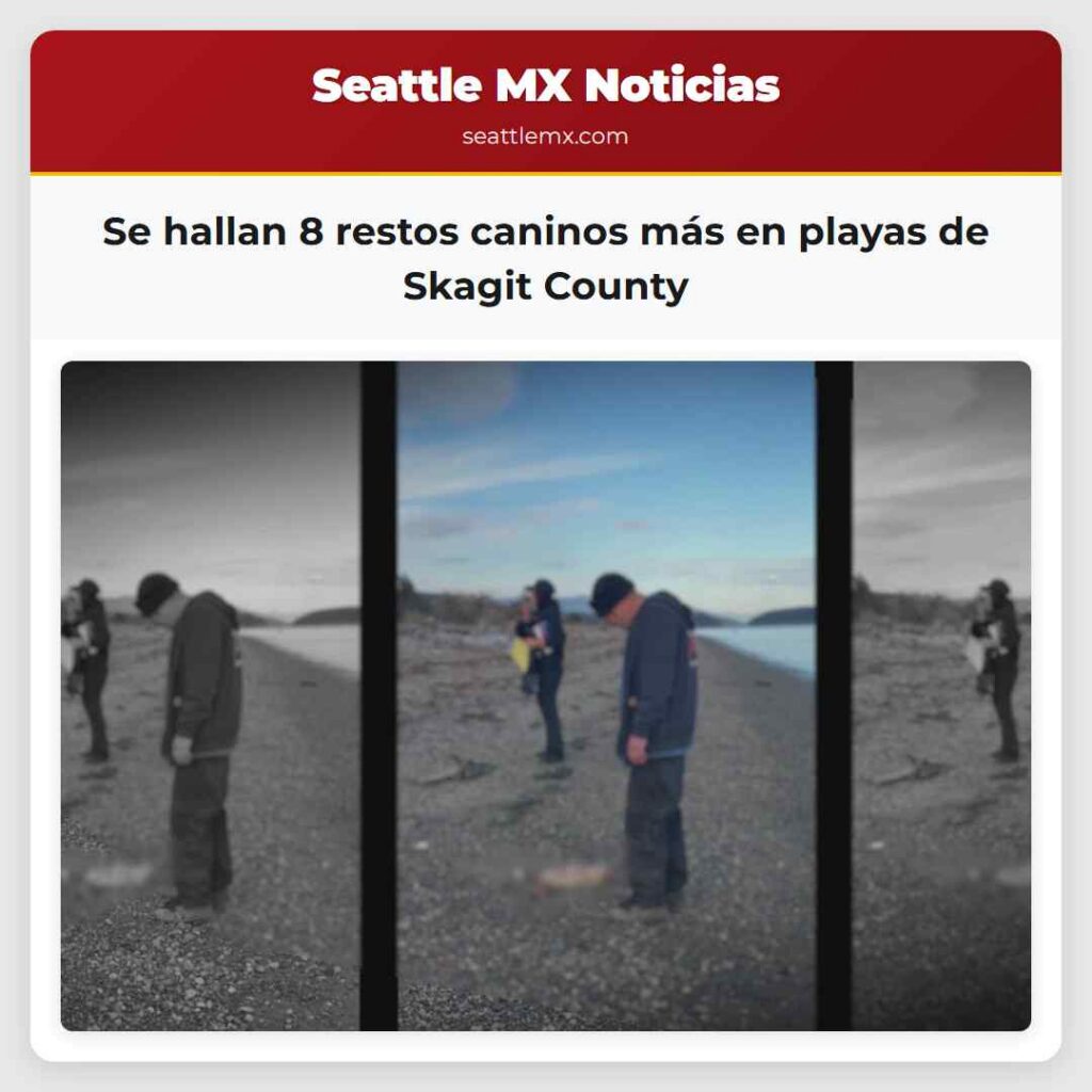 Se hallan 8 restos caninos más en playas de