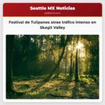 Alternativas de tráfico para el Festival de Tulipanes de Skagit Valley