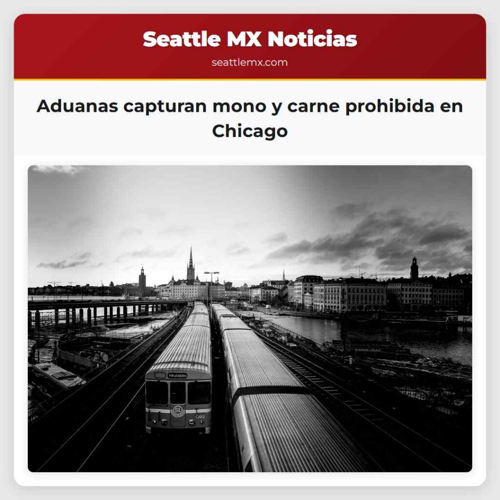 Aduanas capturan mono y carne prohibida en Chicago