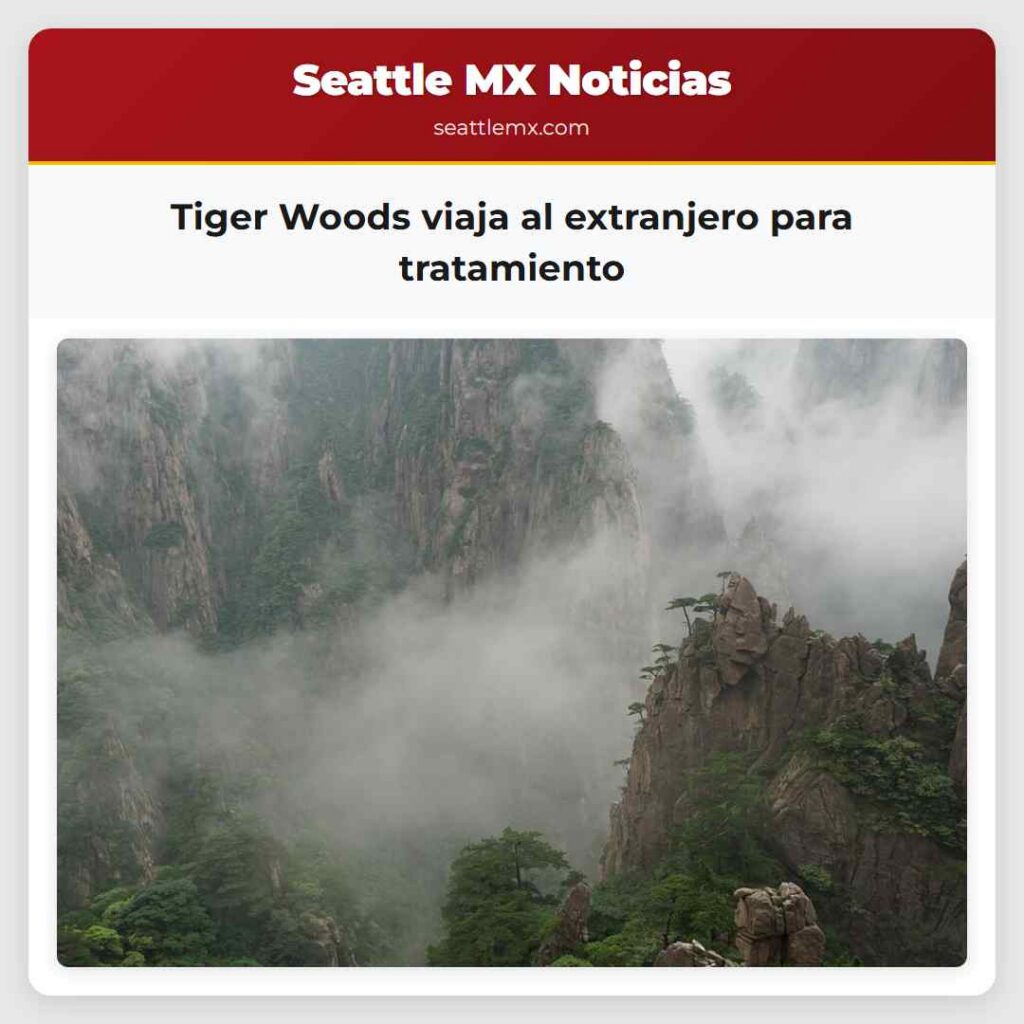 Tiger Woods viaja al extranjero para tratamiento