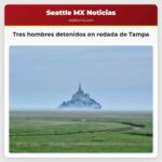 Tres hombres detenidos en redada de Tampa