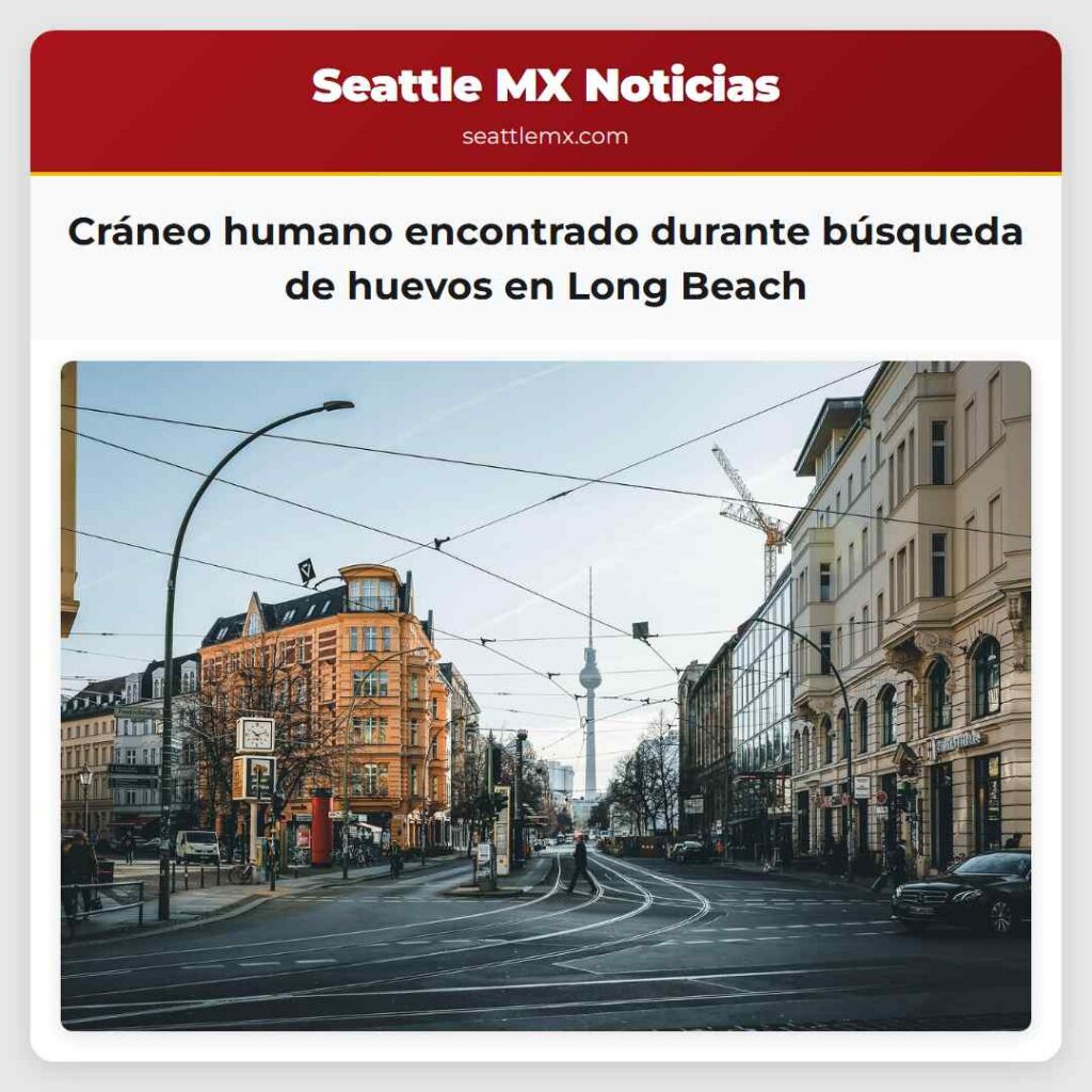 Cráneo humano encontrado durante búsqueda de