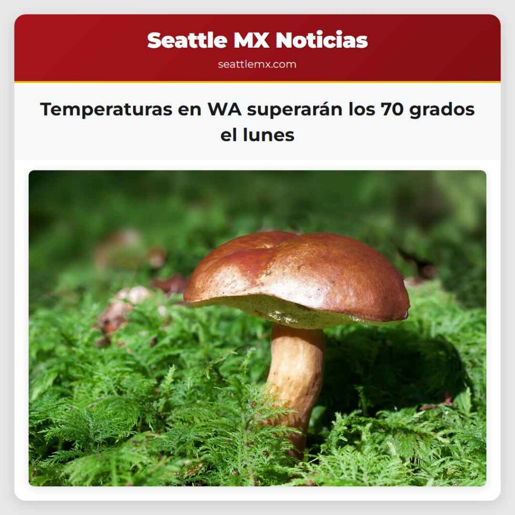 Temperaturas en WA superarán los 70 grados el