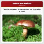 Temperaturas en WA superarán los 70 grados el lunes Batiremos un récord