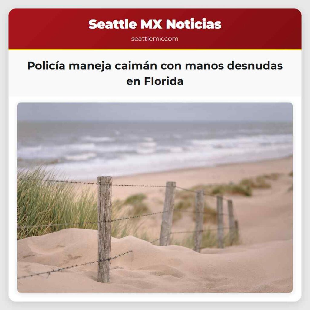 Policía maneja caimán con manos desnudas en