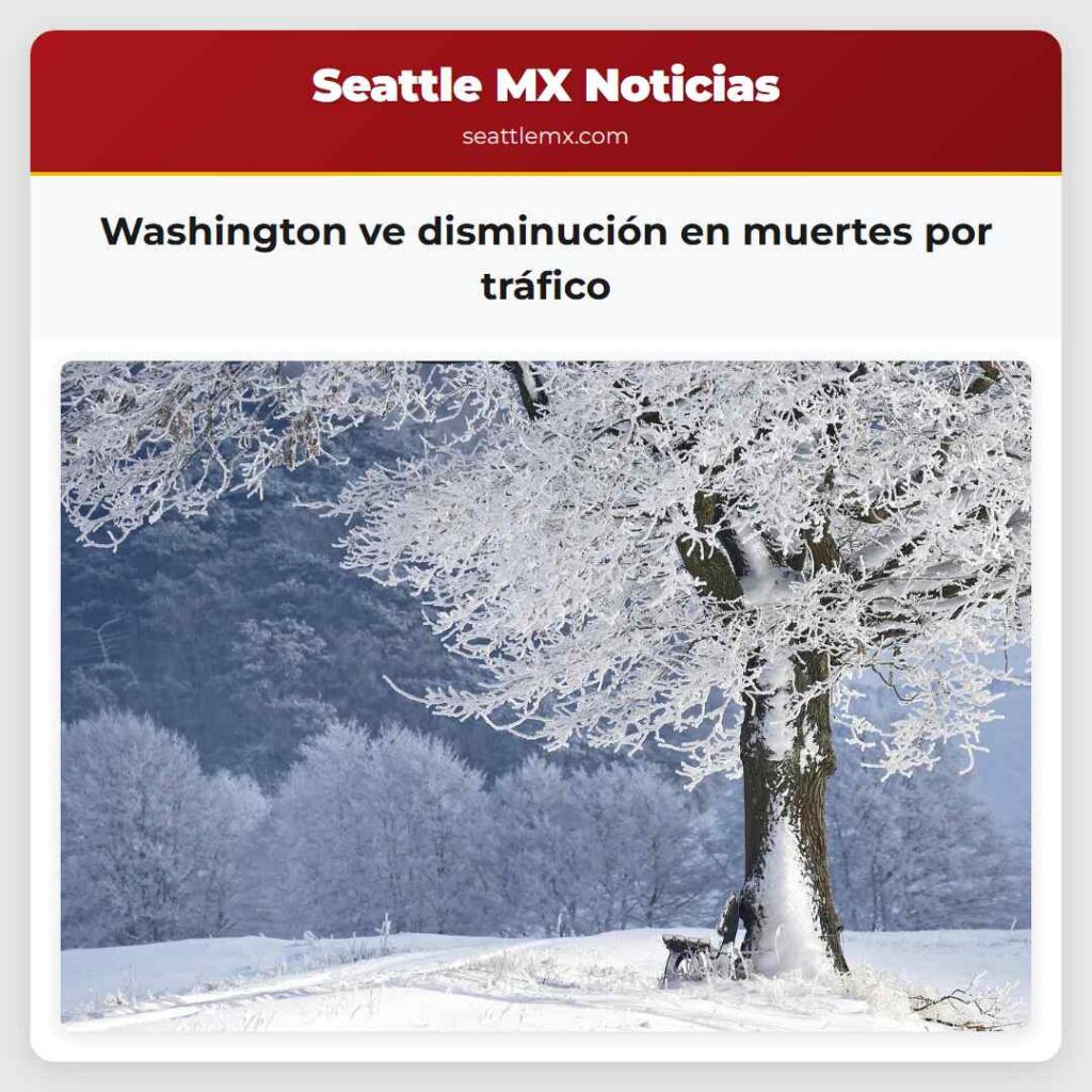 Washington ve disminución en muertes por tráfico
