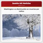 Washington ve disminución en muertes por tráfico