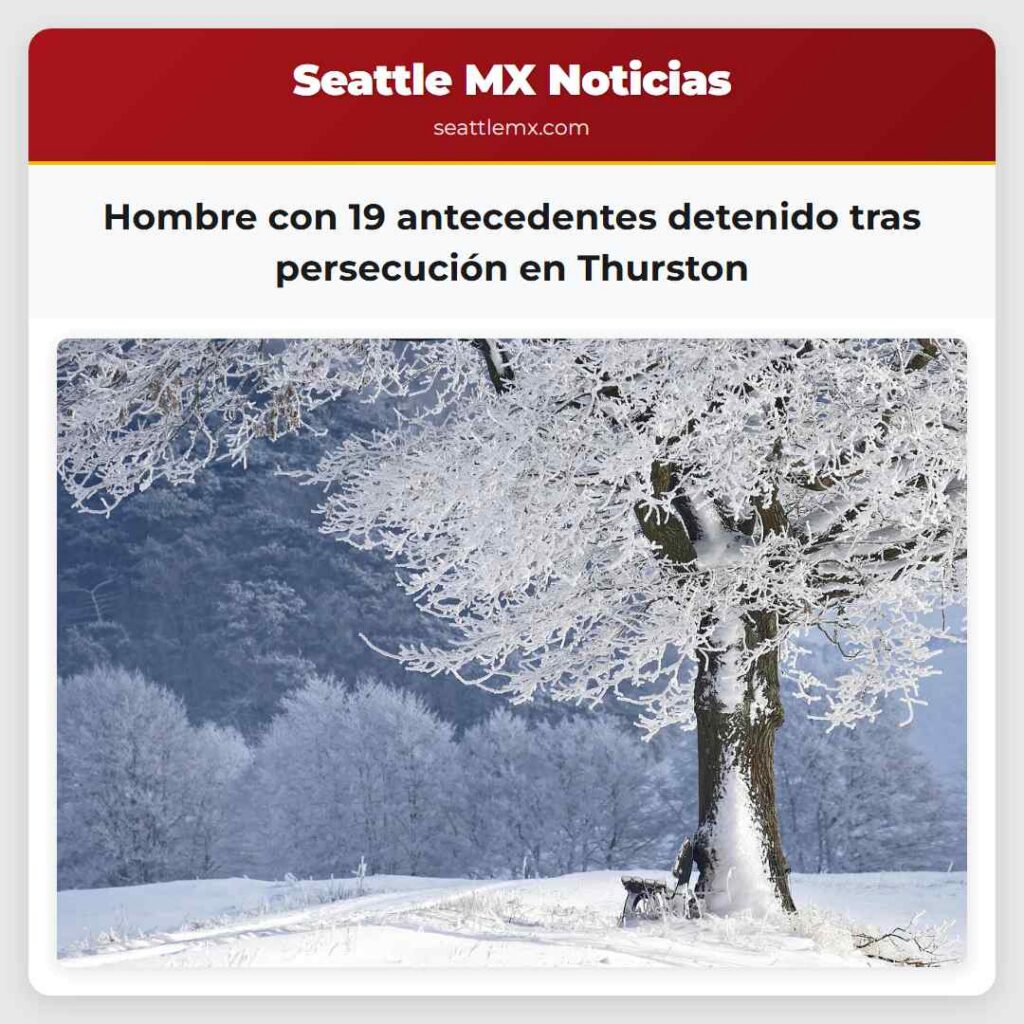 Hombre con 19 antecedentes detenido tras